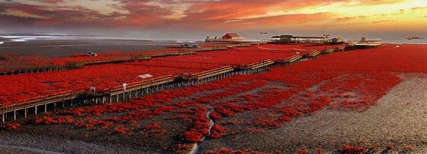 Unik! Pantai di Cina Ini Berwarna Merah dan Memiliki Pemandangan yang Menakjubkan