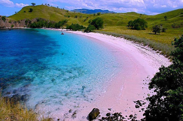 Berenang di Pantai Romantis Pink Beach