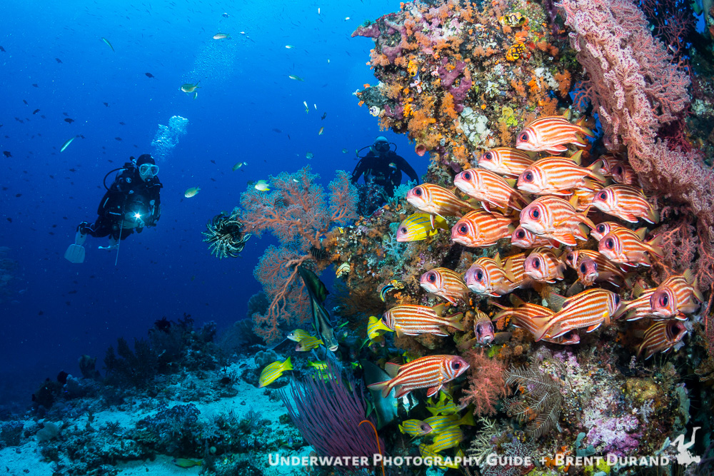 Cape Kri, Raja Ampat