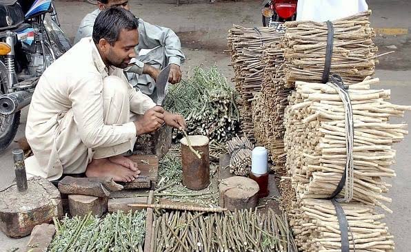 Ini Manfaat Tersembunyi Siwak yang Jarang Diketahui