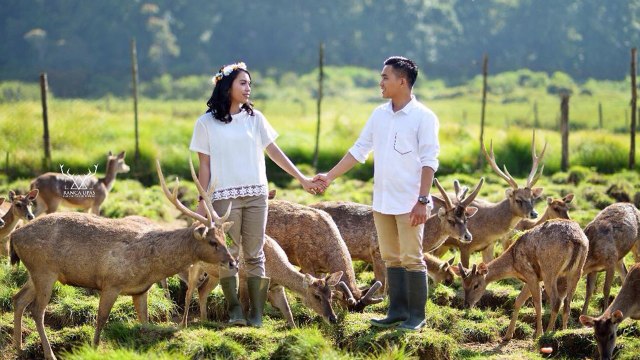 Penangkaran Rusa Ranca Upas, Bandung