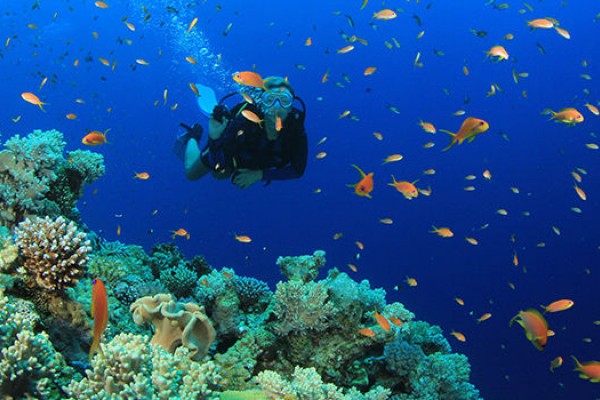 Taman Nasional Komodo, Nusa Tenggara Timur