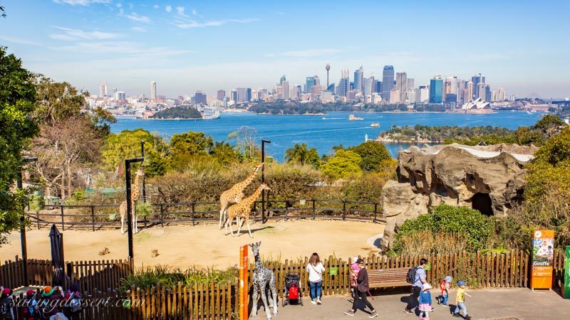 Taronga Zoo