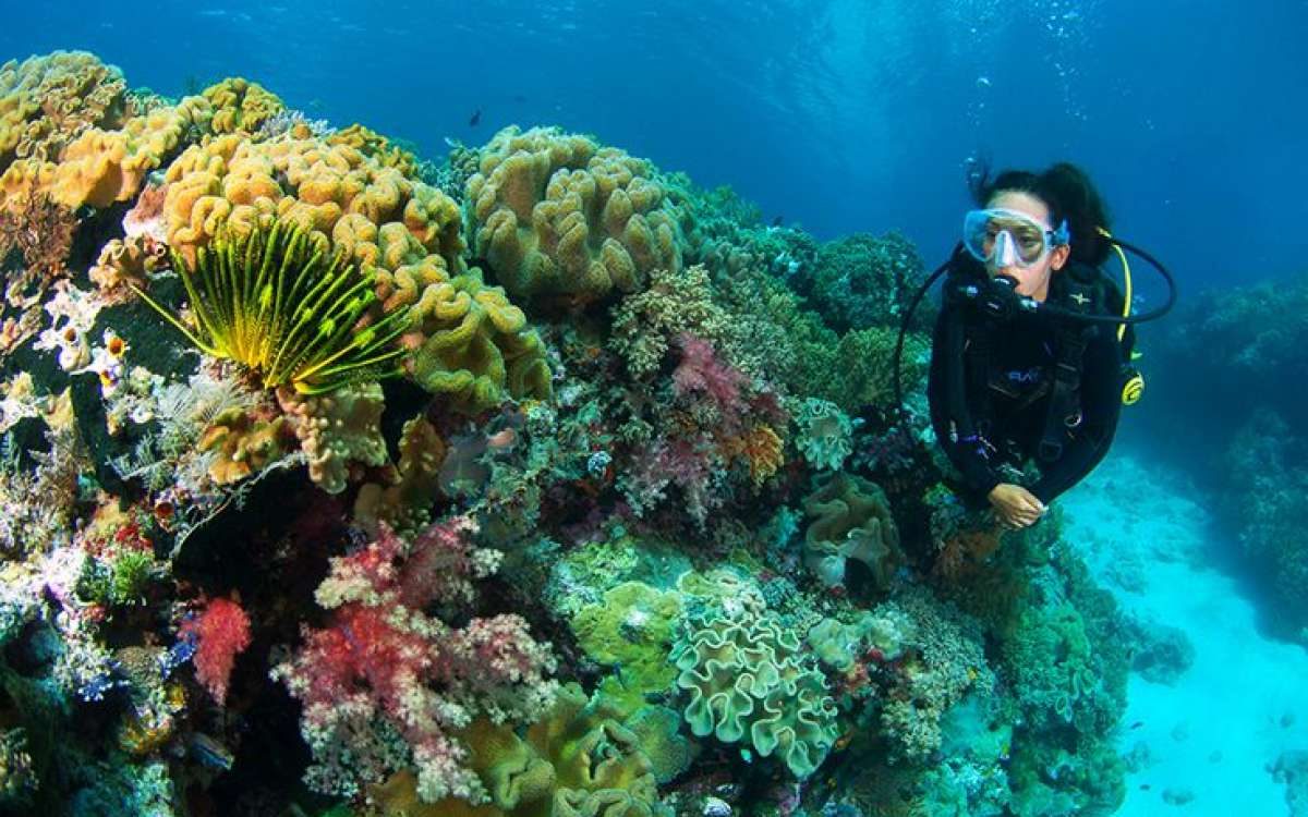 Wakatobi, Sulawesi Tenggara