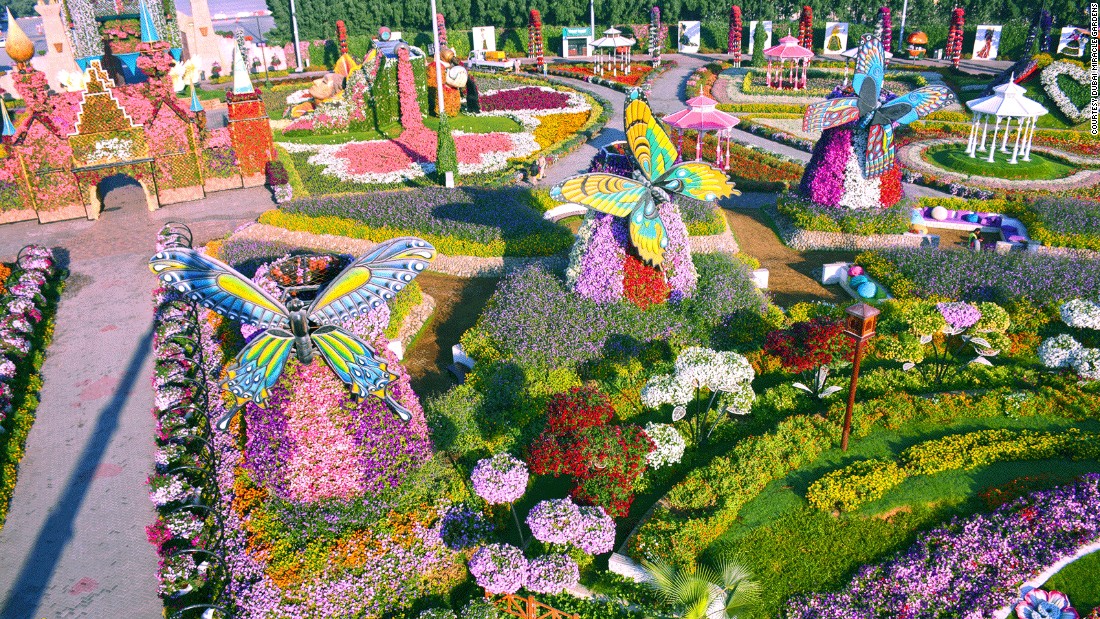 Dubai Miracle Garden