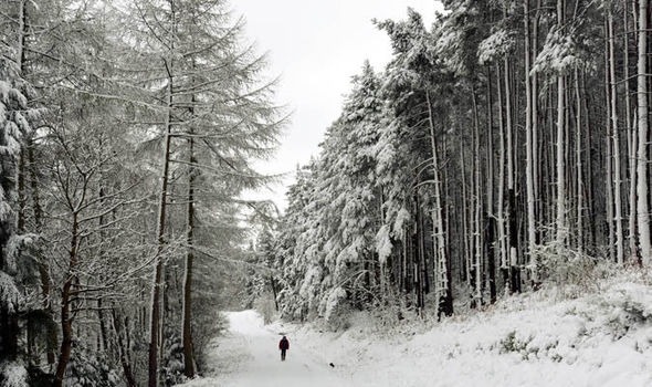 Mengerikan! Salju Berwarna Hitam Turun di Siberia