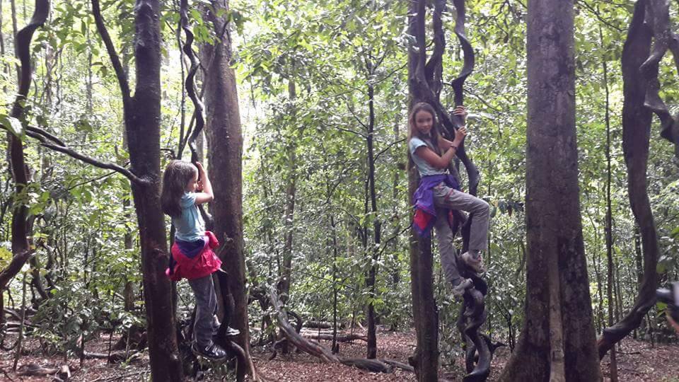 Ada Keajaiban di Hutan Cagar Alam Tangkoko Bitung