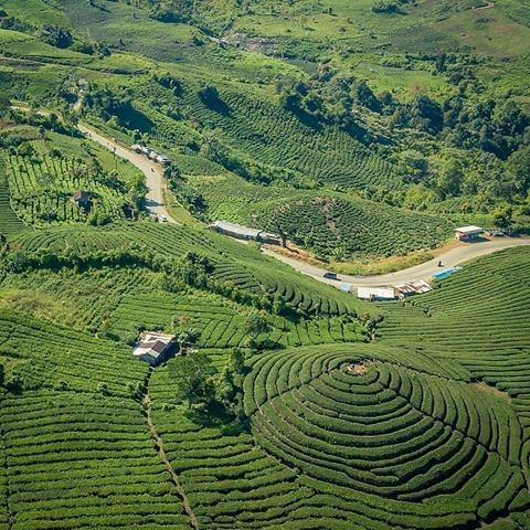 pemandangan dari atas kebunteh