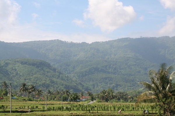 Gunung kumbang