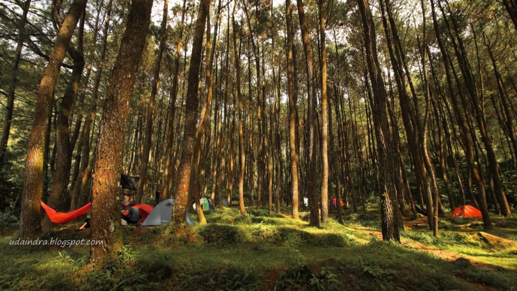 Indahnya Liburan Akhir Pekan Bersama Keluarga Tercinta Ke Kota Hujan