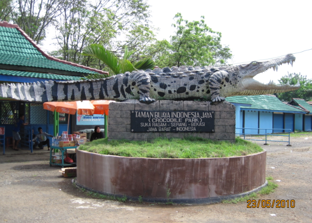 Taman Buaya Indonesia Jaya