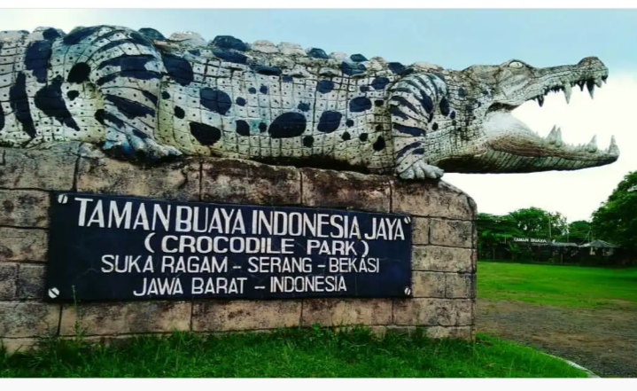 Taman Buaya Indonesia Jaya