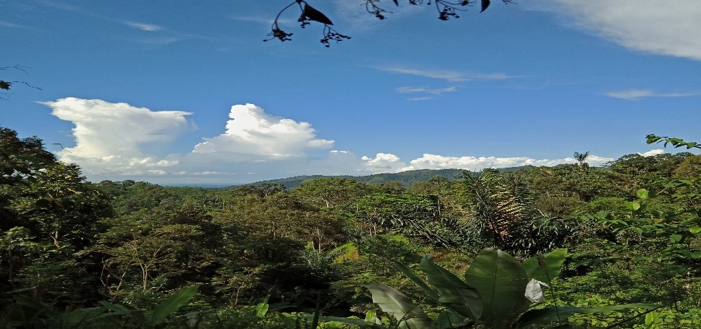 Wisata Anti-Mainstream: Menikmati Indahnya Kearifan Lokal Suku Baduy