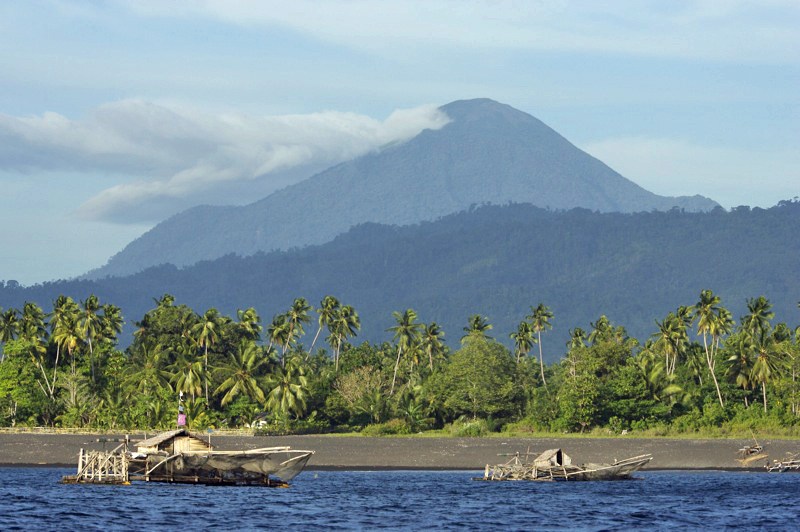 Ada Keajaiban di Hutan Cagar Alam Tangkoko Bitung