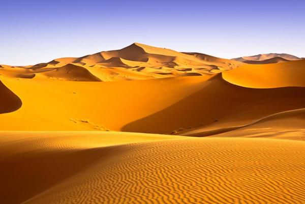 7 Alasan Kamu Harus Wisata Menginap di Gurun Sahara Marocco