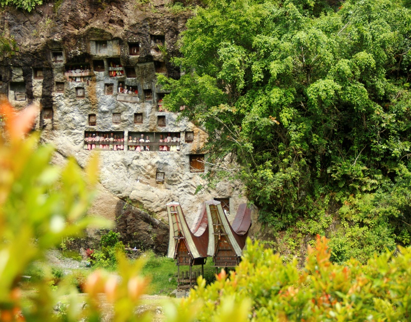 Lemo, Pesona Ritus Kematian Suku Toraja