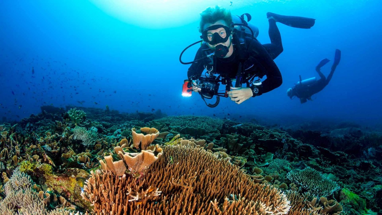 Pelaku Industri Wisata RI Tawarkan Paket Murah Diving di Singapura