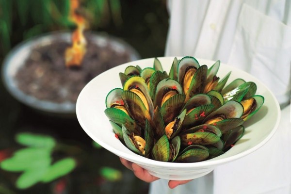 Kerang Hijau Marlborough