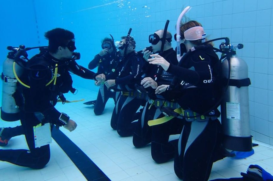 Mau Diving? Perhatikan 6 Hal Penting Ini 