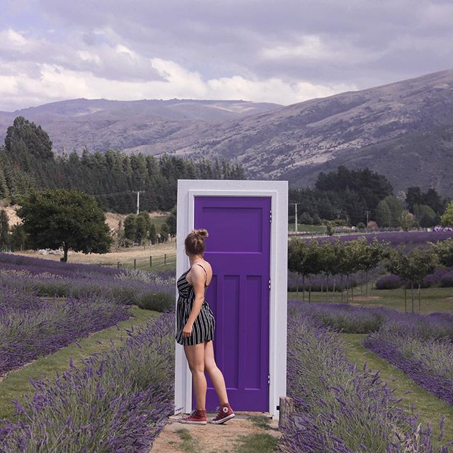 Wanaka Lavender Farm