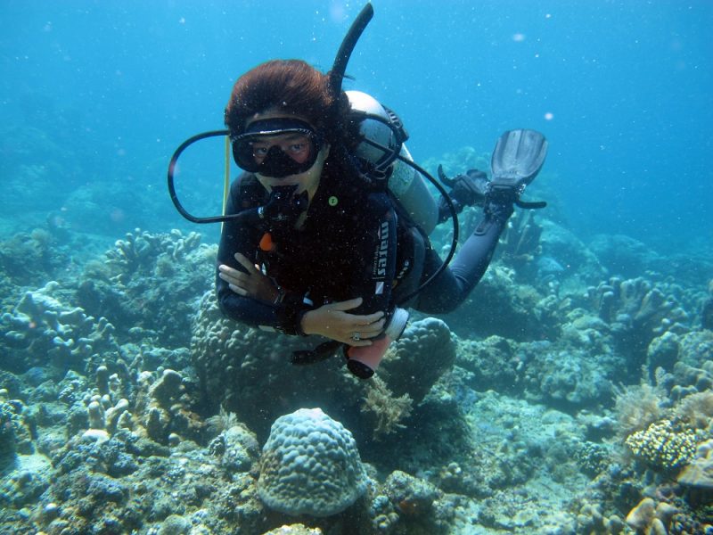 Mau Diving? Perhatikan 6 Hal Penting Ini 