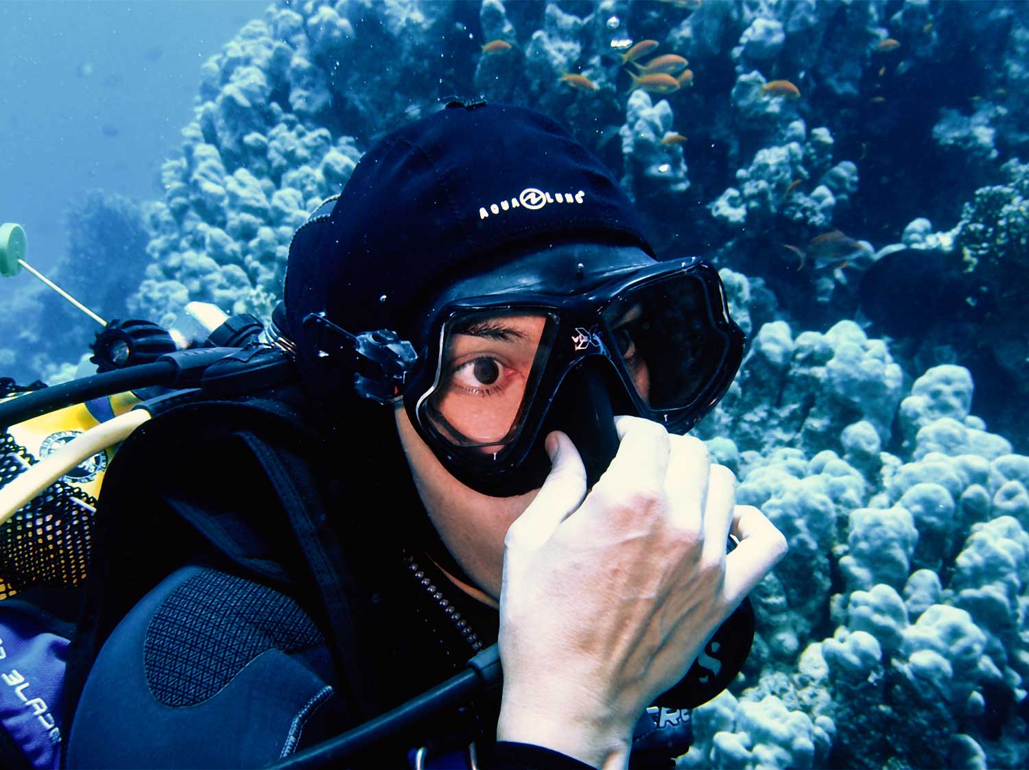 Mau Diving? Perhatikan 6 Hal Penting Ini 