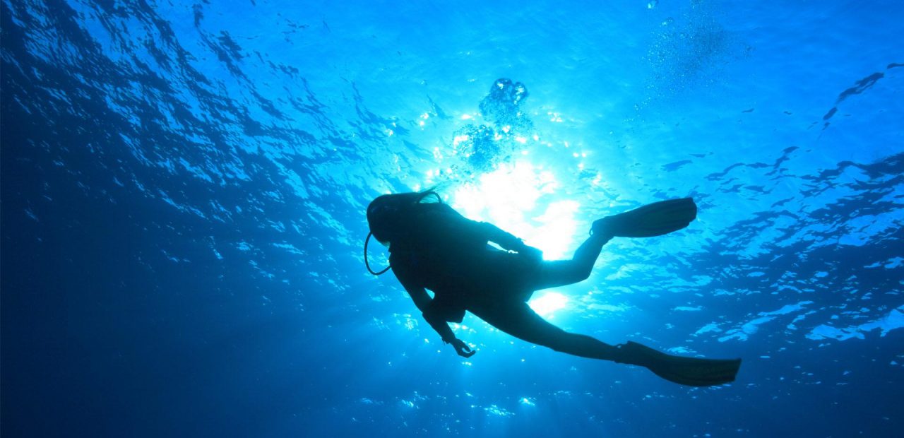 Mau Diving? Perhatikan 6 Hal Penting Ini 