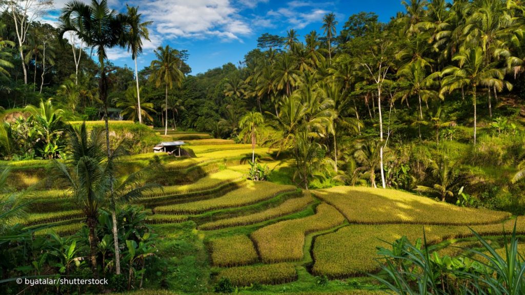 Explore 7 Keindahan Wisata Indonesia Tahun 2019