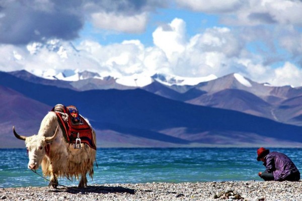 Danau Namtso