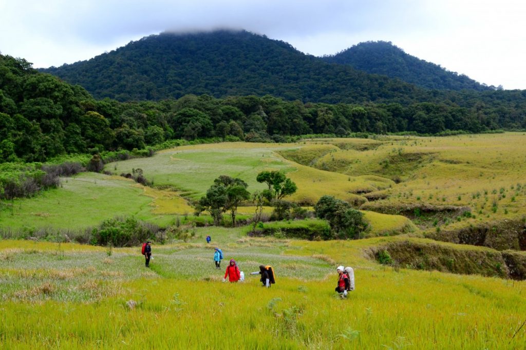 Rekomendasi Tempat Wisata Di Temanggung Yang Menakjubkan