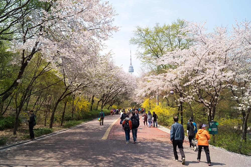 Namsan Parkq