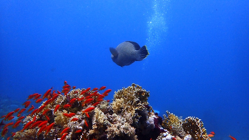 Pantai Dahab di Mesir yang indah