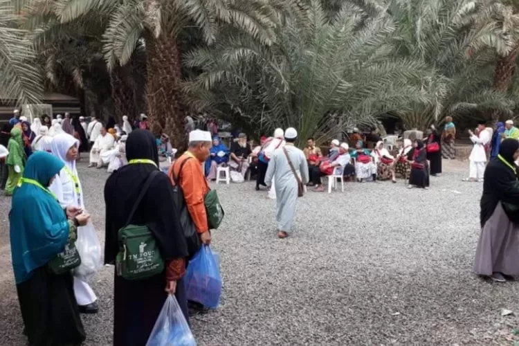 Wisata kebun kurma Madinah